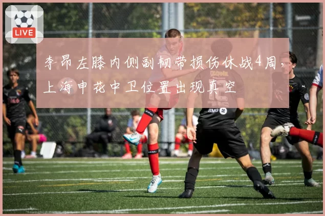 李昂左膝内侧副韧带损伤休战4周，上海申花中卫位置出现真空