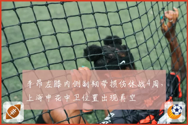 李昂左膝内侧副韧带损伤休战4周,上海申花中卫位置出现真空