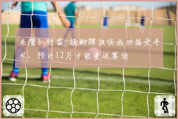 老鹰队特雷-杨脚踝扭伤成功接受手术,预计12月才能重返赛场