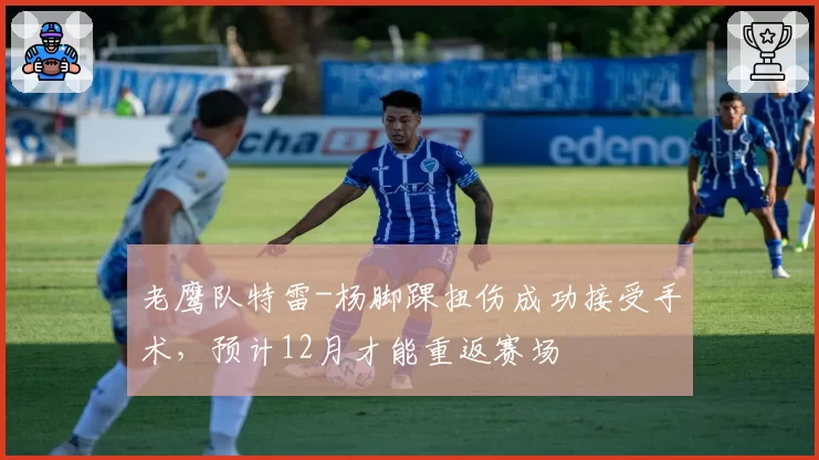 老鹰队特雷-杨脚踝扭伤成功接受手术，预计12月才能重返赛场